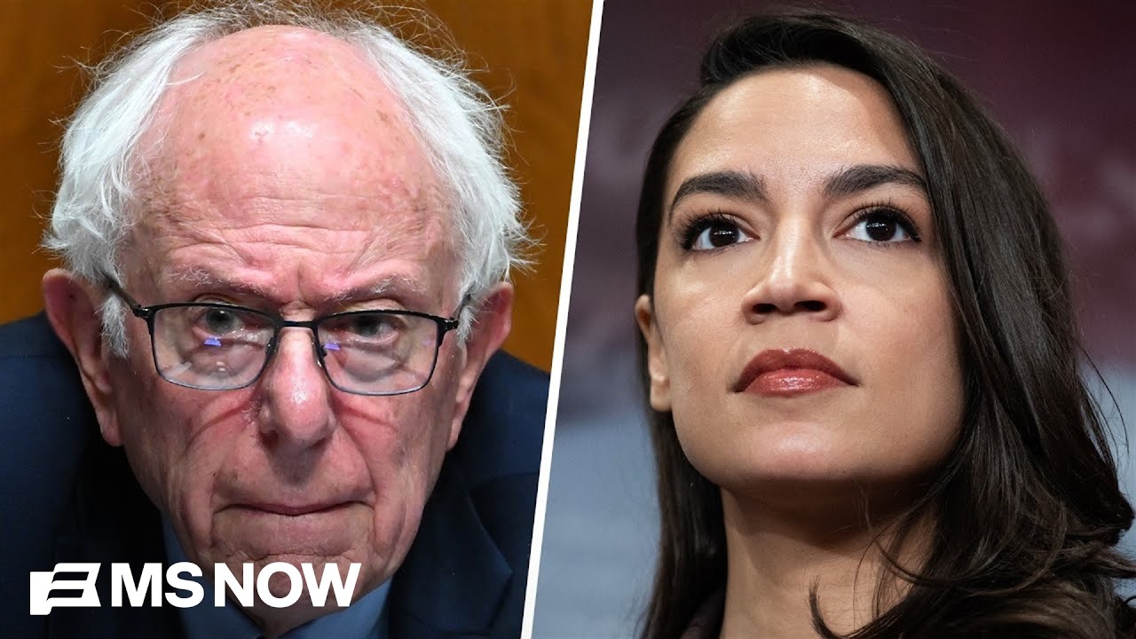 Can Democratic Socialists win nationwide? Watch our panel debate the divide in the party