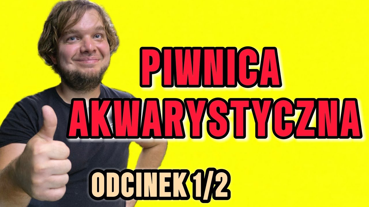 Piwnica Akwarystyczna u Damiana Lewińskiego