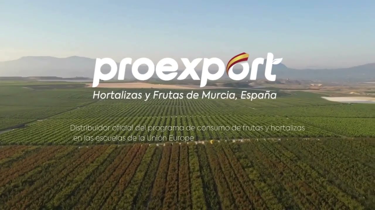 El Ciruelo presenta la fruta de hueso 🍑 | Un mensaje para los peques del cole