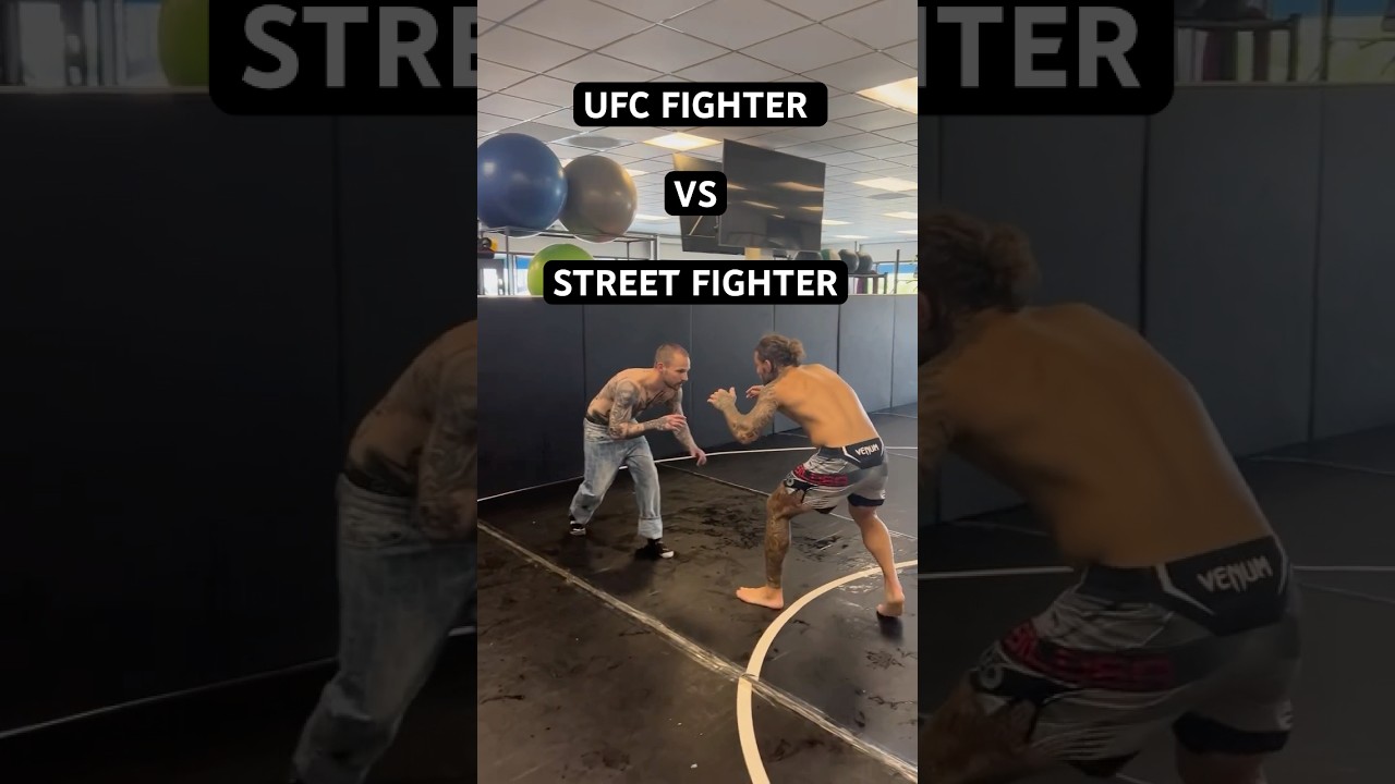 UFC Fighter VS Street Fighter