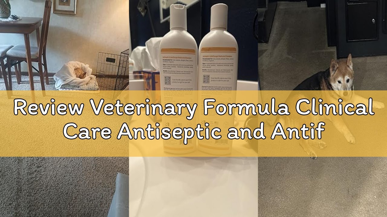 Review Veterinary Formula Clinical Care Antiseptic and Antifungal Medicated Shampoo for Dogs & Cats,