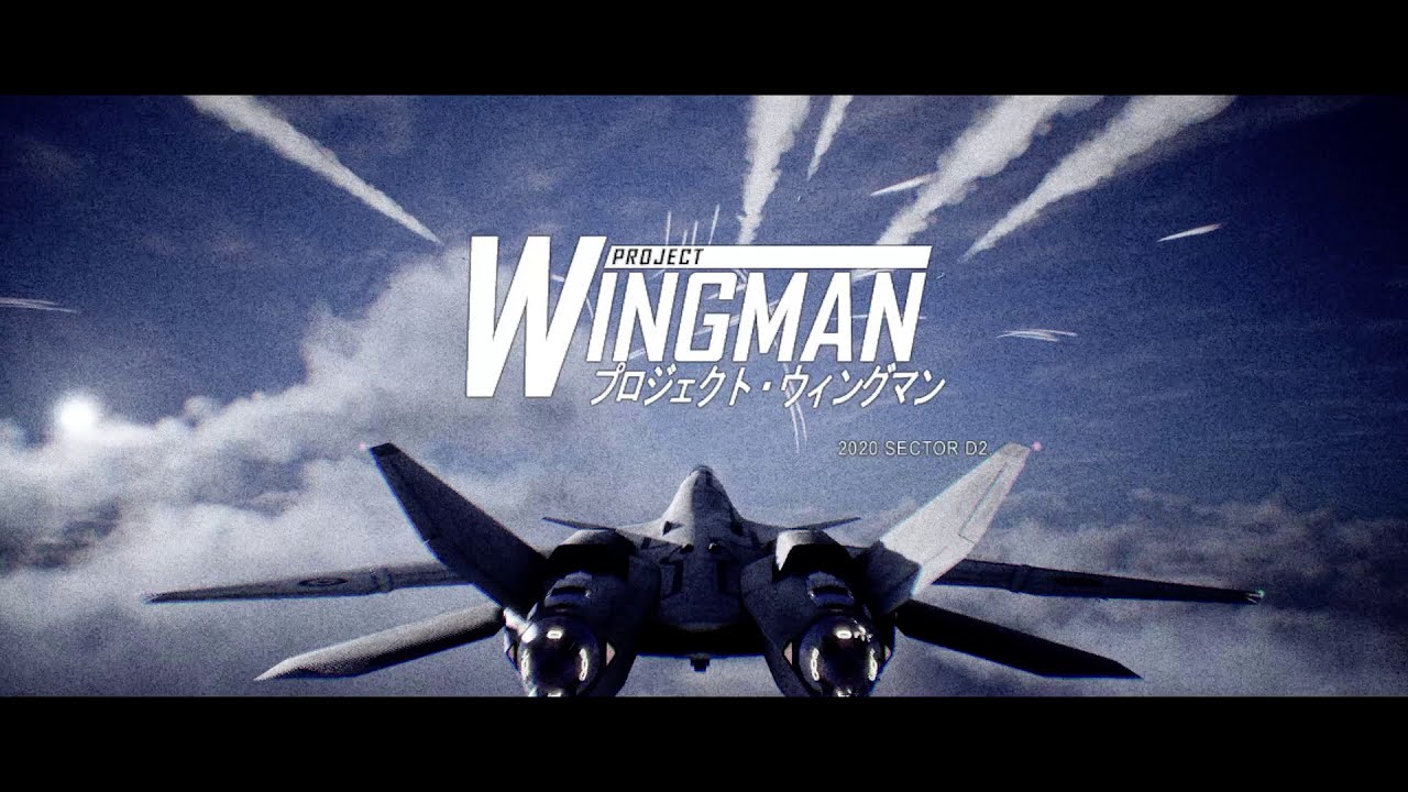 Project Wingman - Cold War (Mission 11) (Difficulty: Mercenary)