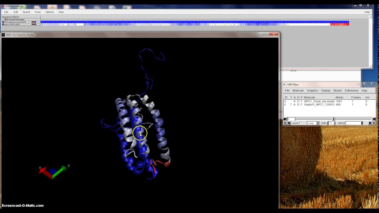 VMD Multiseq Alignment MPC1 2 10 2017