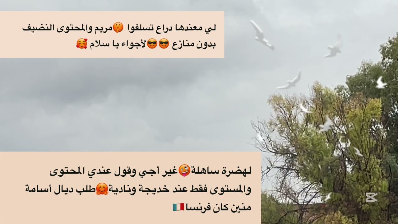 صويلح دارت نفس فيديو مريم بغات تكلاشي ساعة دارت ضحك في راسها كل شي على صبع 🤣🤣@Maryamlbadawiya 