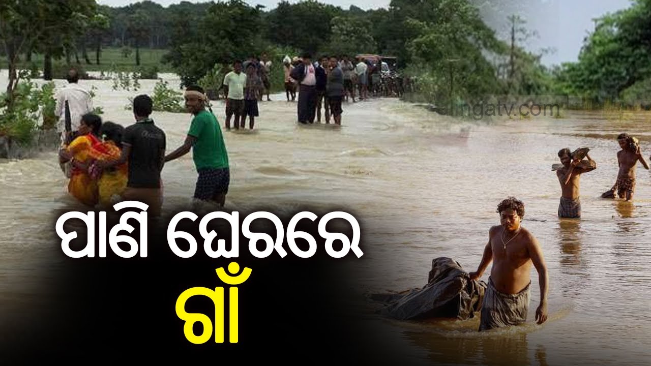 Bhubaneswar: Villages in Balipatna waterlogged in flood water in Khordha dist || KalingaTV