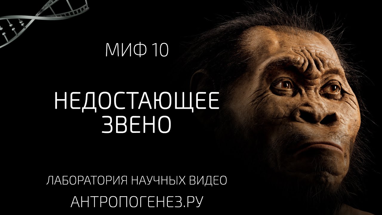 Недостающее Звено. Мифы об эволюции человека.