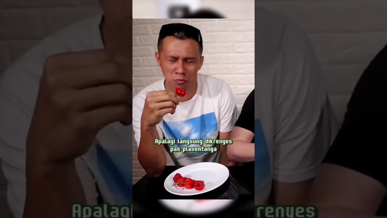 Cabai paling pedas di Indonesia. Harganya paling konsisten