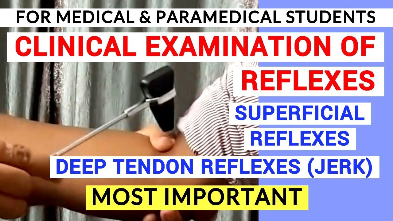 REFLEXES EXAMINATION | CLINICAL LAB | PHYSIOLOGY PRACTICALS