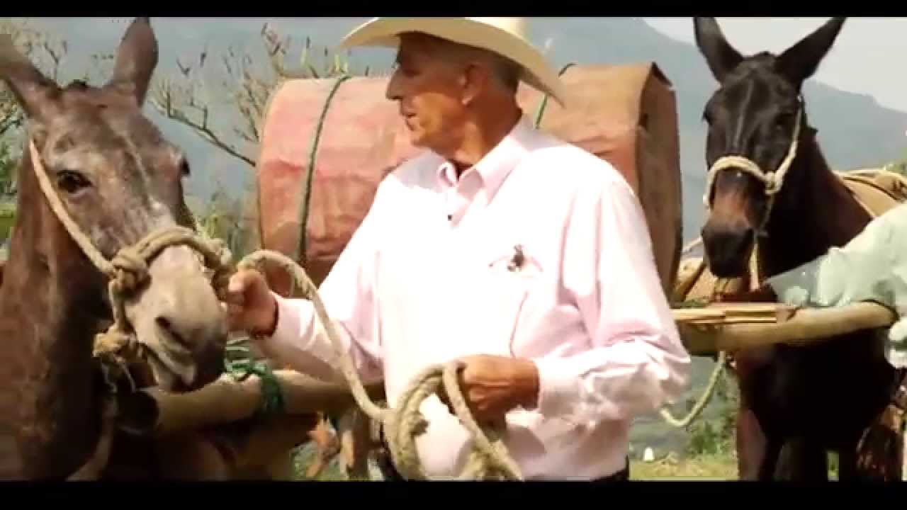 A Lomo de Mula3. ARRIERIA Y MULAS DE CARGA II. POR OVIDIO OSORIO