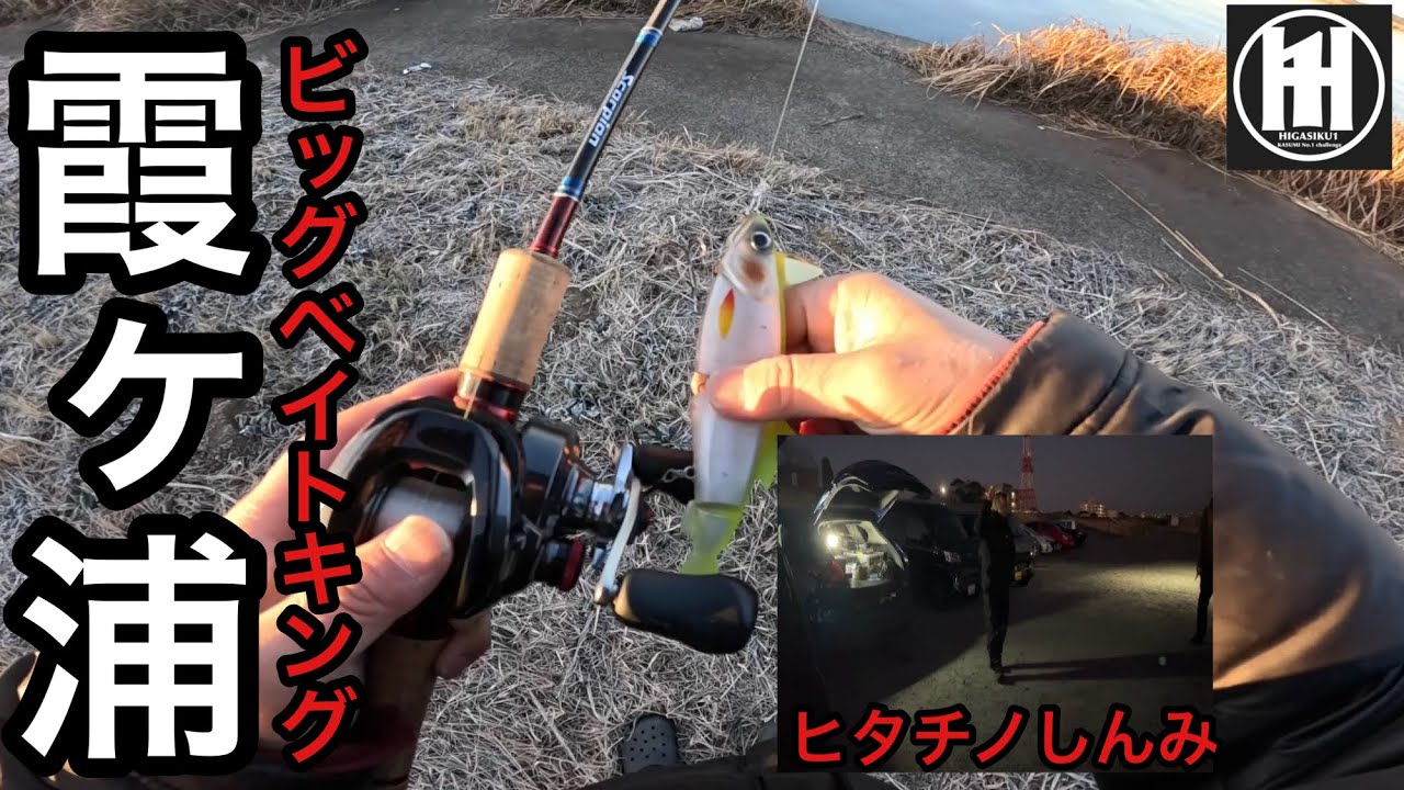 バス釣り霞ヶ浦！ビッグベイト縛りの大会は波乱続出⁈2026年1月25日