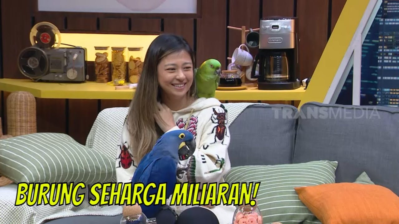 Fantastis, 35 Burung Jacqueline Wijaya Total Harganya Miliaran Rupiah! | TRIG3RR (07/05/22) Part 4