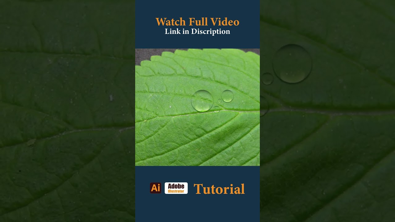 Realistic water drop vector design in Adobe Illustrator 2022