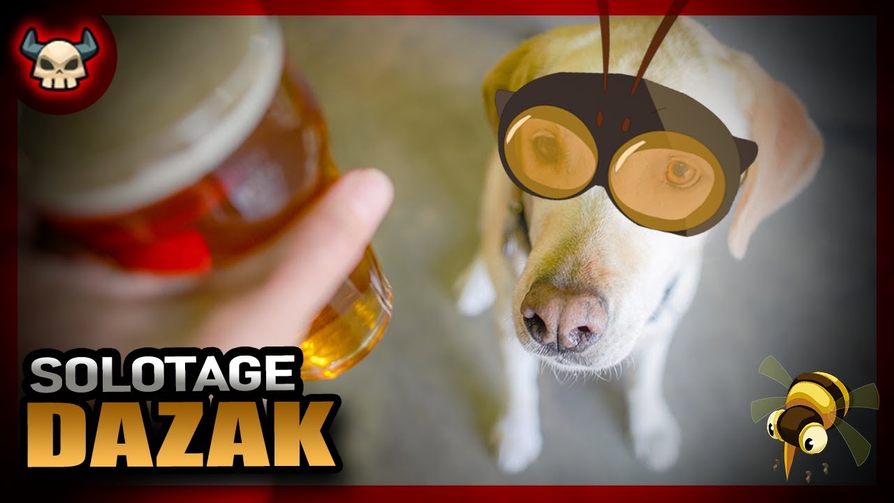 Dazak ivre se fait voler sa bière par un chien || Solotage Ouginak