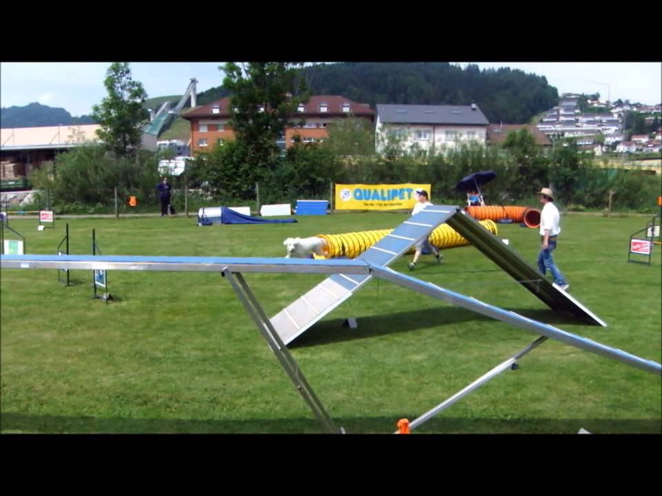 Agility-Plausch-Meeting in Einsiedeln-Bambuli und seine Freunde