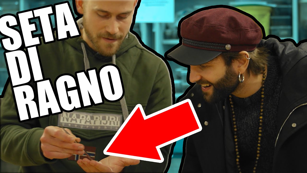 Seta di ragno e altri superpoteri - ARACNOFILIA