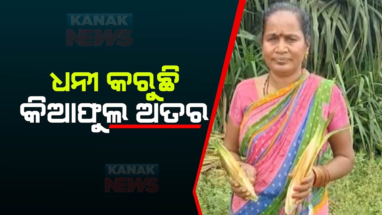 Bazaar Halchaal: Ganjam Farmers Gets Benefitted From Products By Kewda Flower Cultivation