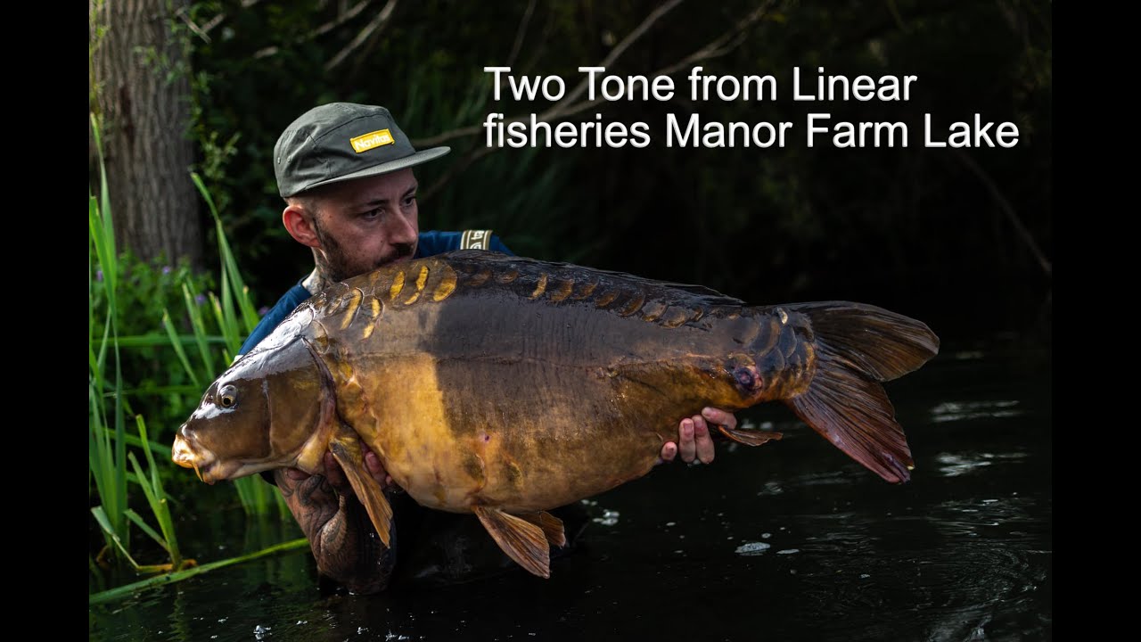 Linear Fisheries - Manor farm Incrediblebaits Social