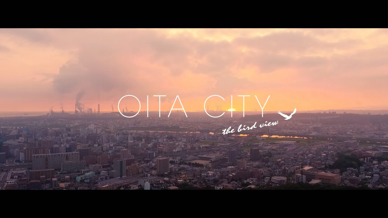 OITA CITY -the bird view-