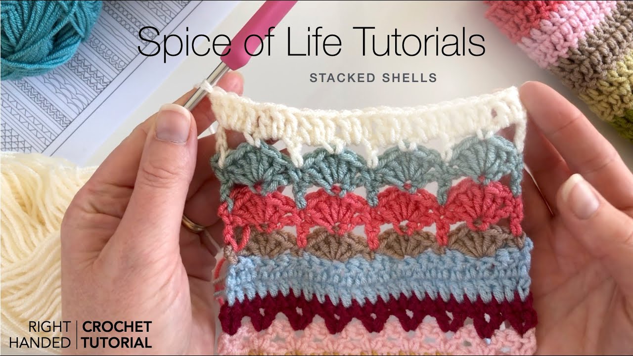 Учебные пособия Spice of Life | Сложенные ракушки