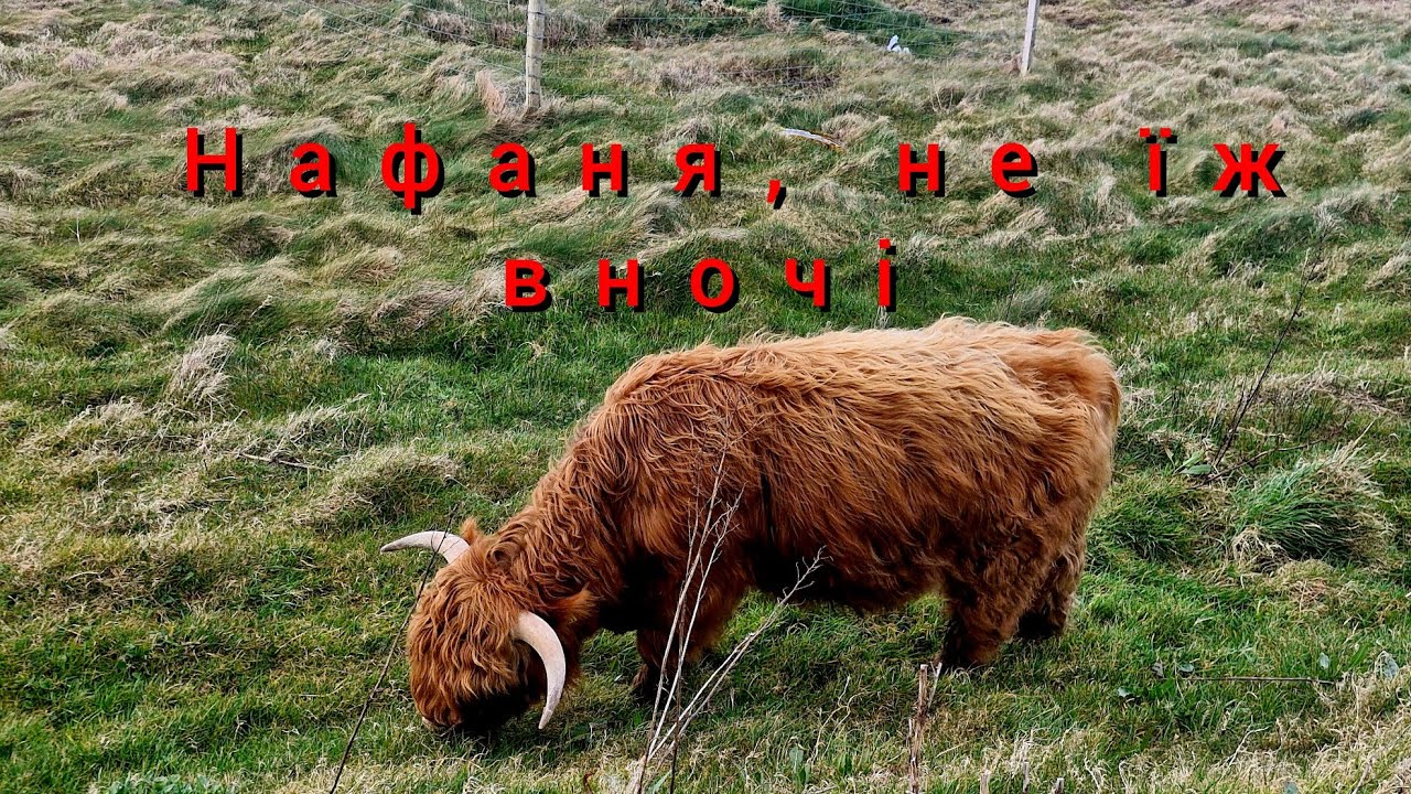 Лікую нервову систему, як зрозуміти, що ти знайшов свою людину 
