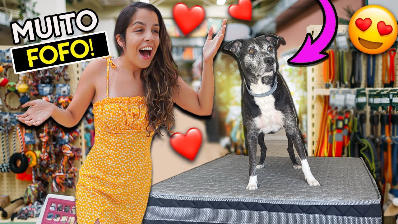 NOSSO CACHORRINHO GANHOU UM PRESENTE INACREDITÁVEL + DIA DE GRAVAÇÃO NA MANSÃO E COMPRINHAS