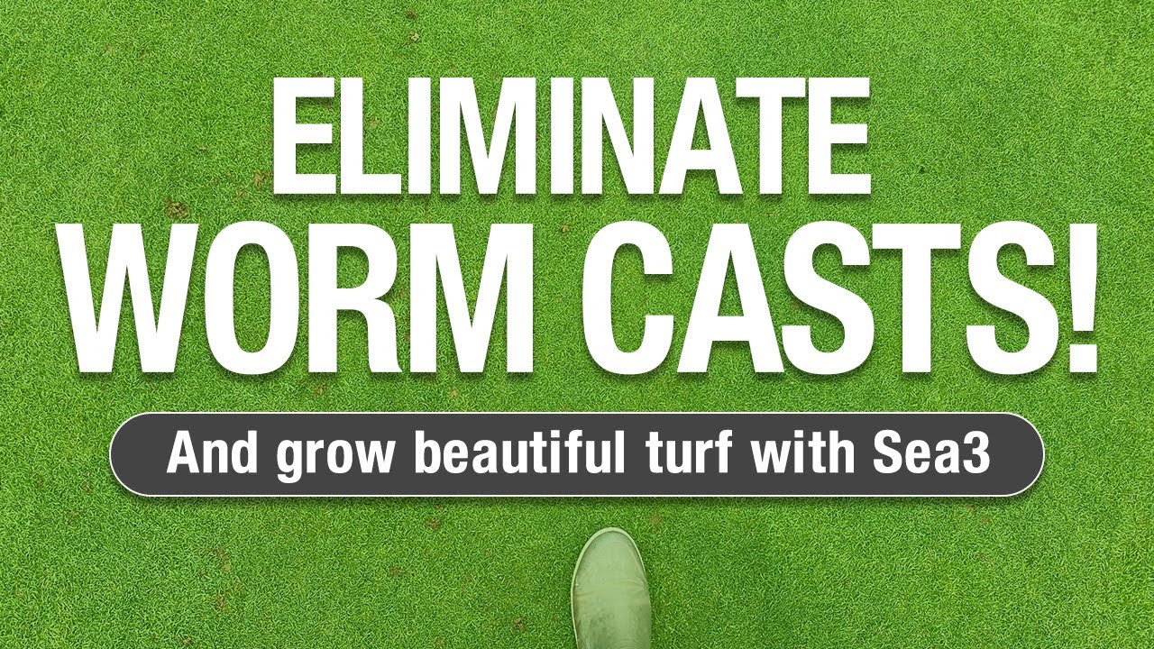 2 Minute Turf Talk - Worm Cast Elimination