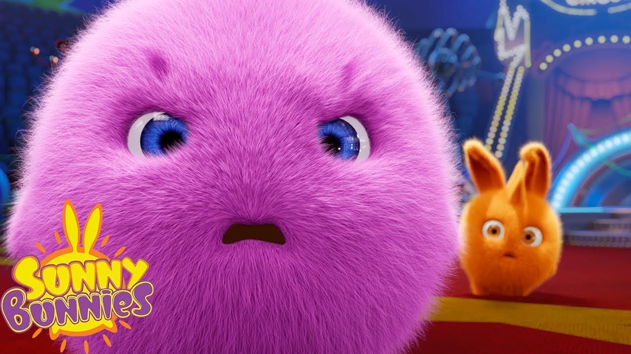 novos poderes | Sunny Bunnies | desenhos animados para crianças | WildBrain em Português