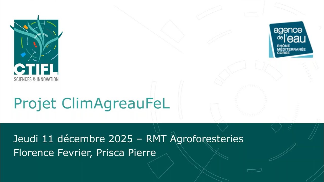 Agroforesterie fruits et légumes : premiers résultats du projet ClimagreauFeL – Replay webinaire