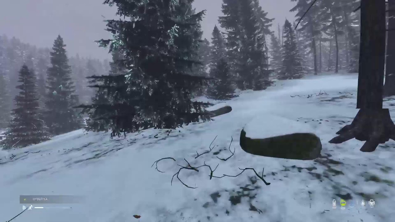 DayZ