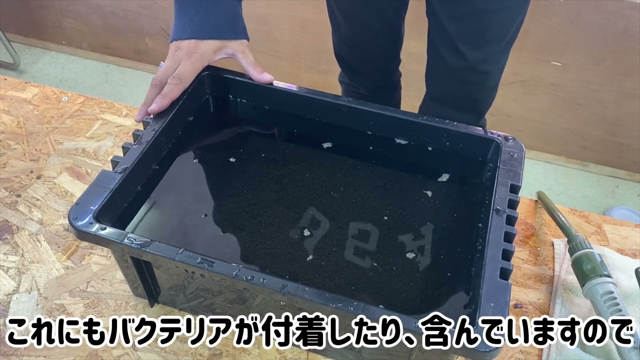 総和流の飼育水作りアップしちゃいました^_^