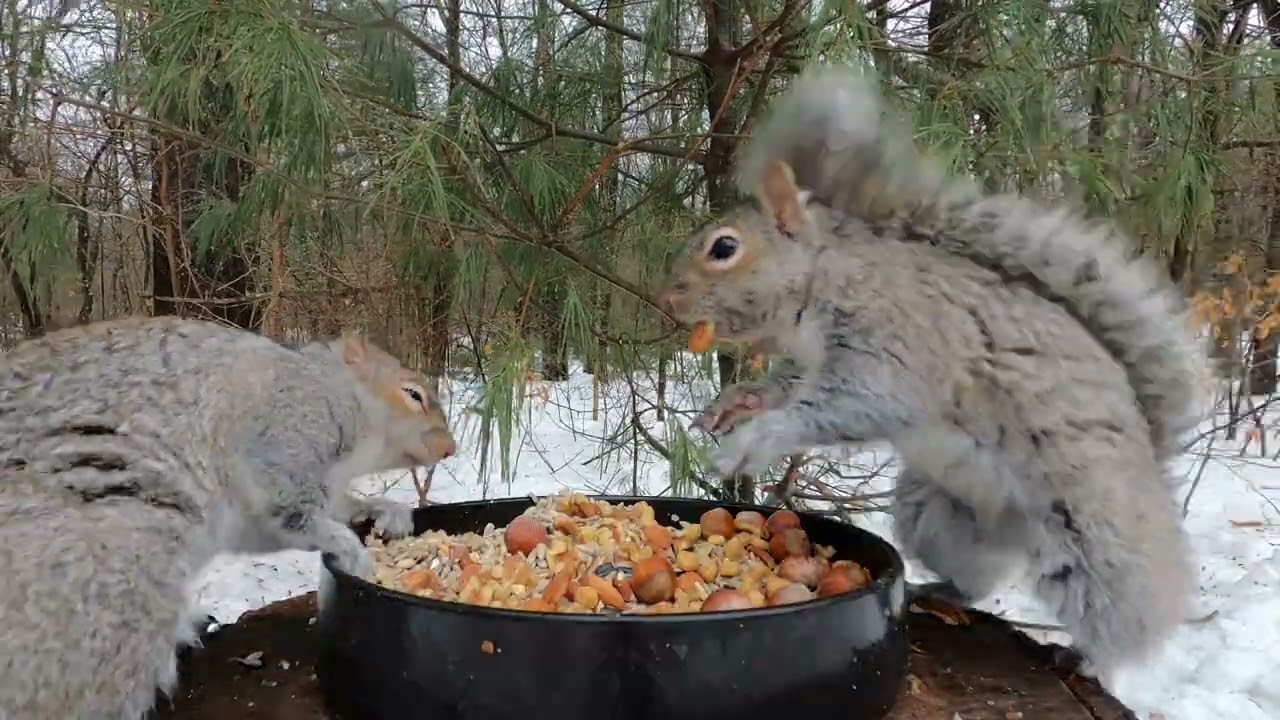not sharing