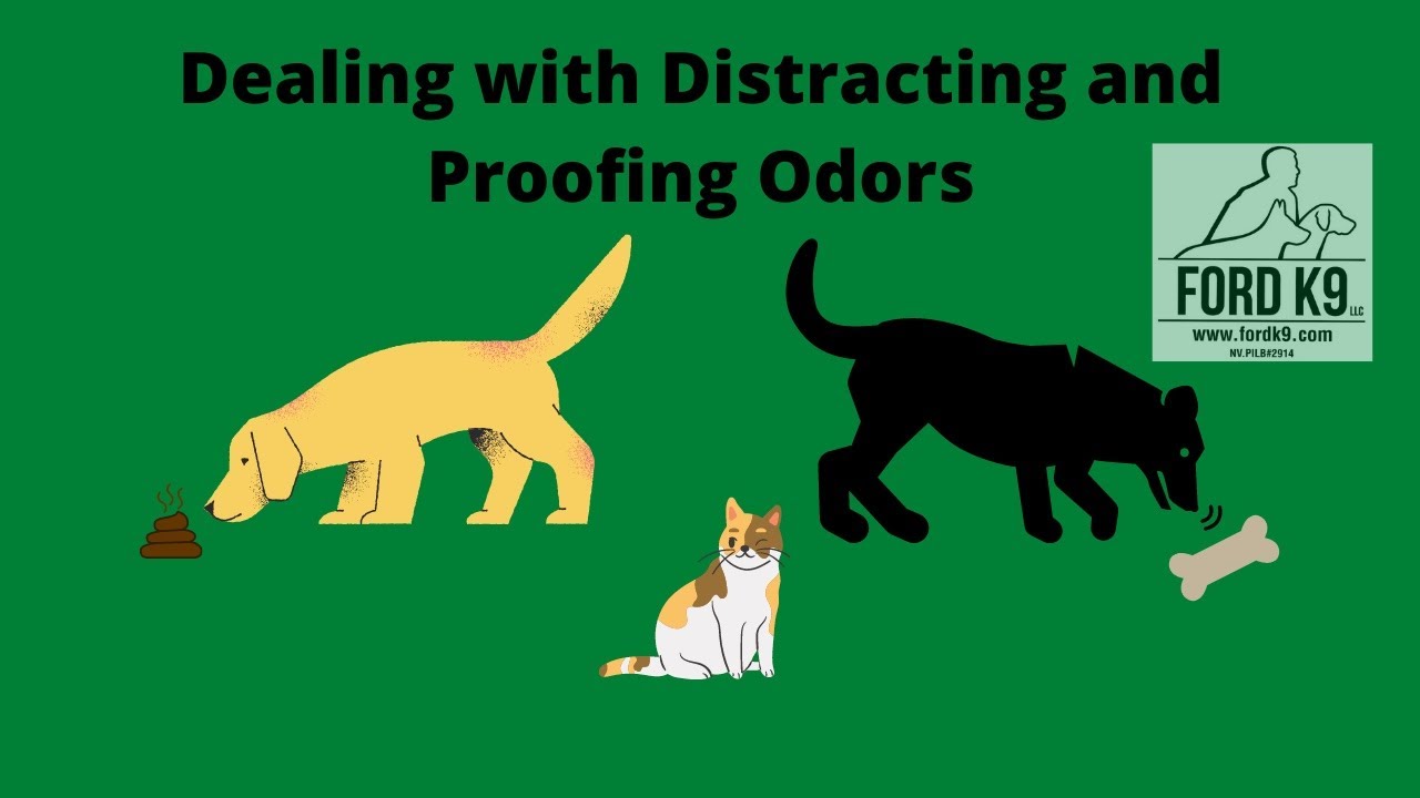 Work on the issue of Distractions and Proofing Odors