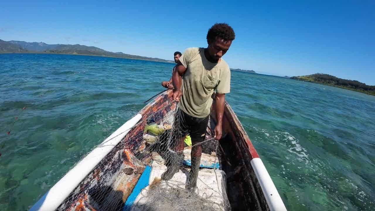 Fishing During High Tide For The Upcoming Function (Qoli Samusamu)🐠🌊🇫🇯