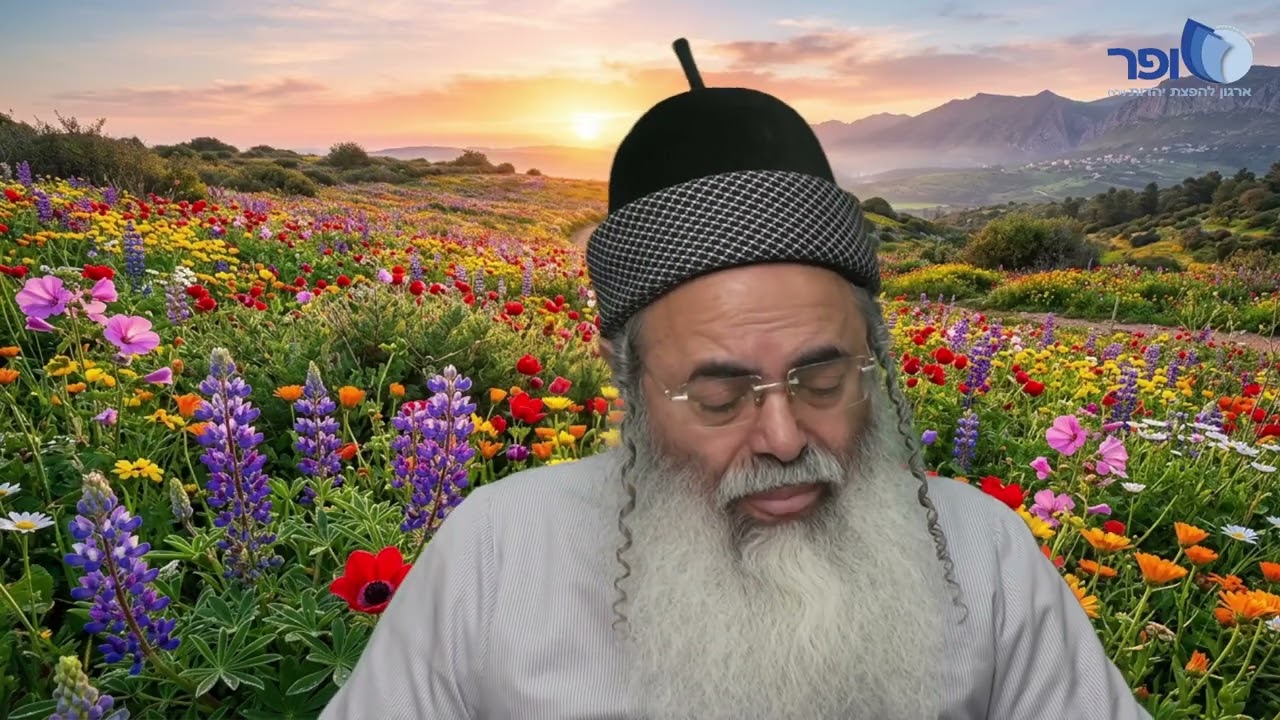 פרפראות וחדושים לפרשת כי תשא חלק ד' תשפ''ו | הרב אמנון יצחק שליט