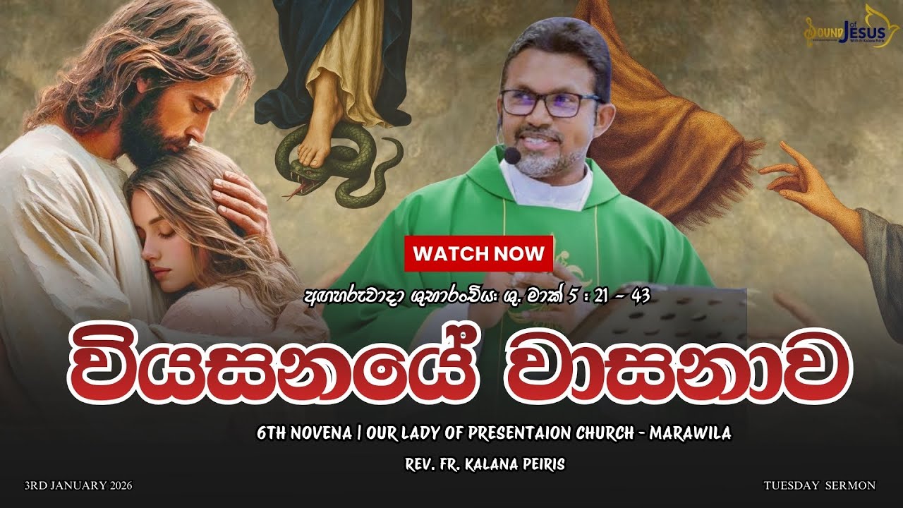 වියසනයේ වාසනාව Tuesday Sermon| ශු. මාක් 5:21-43| Rev. Fr. Kalana Peiris