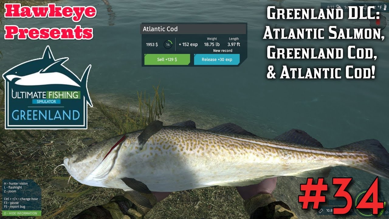 Ultimate Fishing Simulator #34: DLC &laquo;Гренландия&raquo;: Атлантический лосось, гренландская треска и атл...