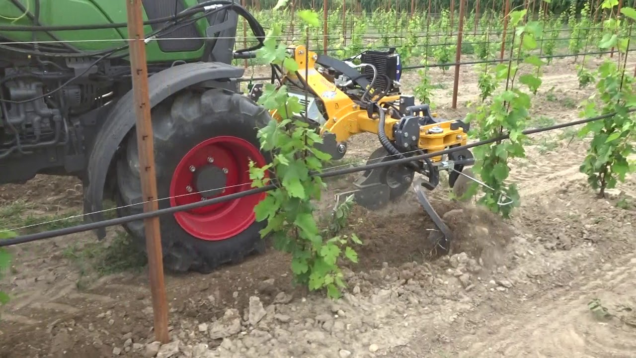 Vitis 2 Dondi con vomeri