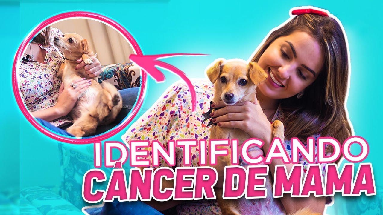 Como saber se minha cachorrinha ou gata está com câncer de mama?