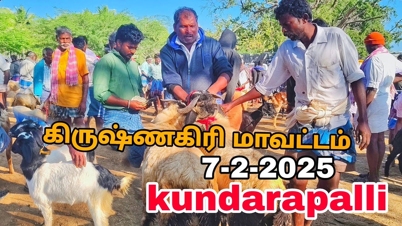 kundarapalli Friday goat market கிருஷ்ணகிரி மாவட்டம் குந்தாரப்பள்ளி ஆடுகள் விலை நிலவரம்