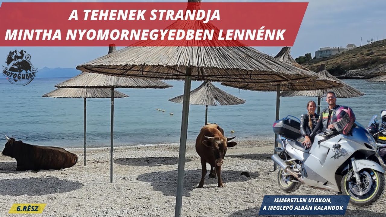 A tehenek strandja, Mintha egy nyomornegyedben lennénk, Ismeretlen utakon 6 rész