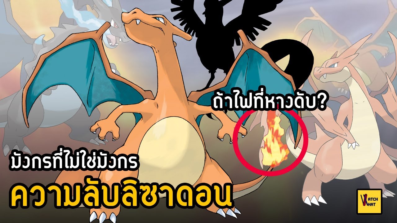 แย้หางไฟ ลิซาดอน (Charizard) ถ้าไฟดับจะเป็นยังไง I 9Facts