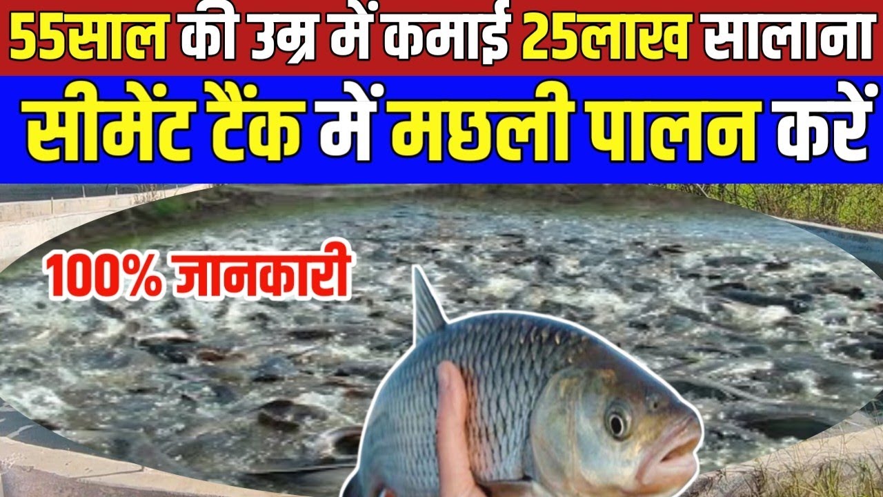 सीमेंट टैंक में मछली पालन | Fish Farming in Cement Tank | biofloc fish farming | Agrojeevan