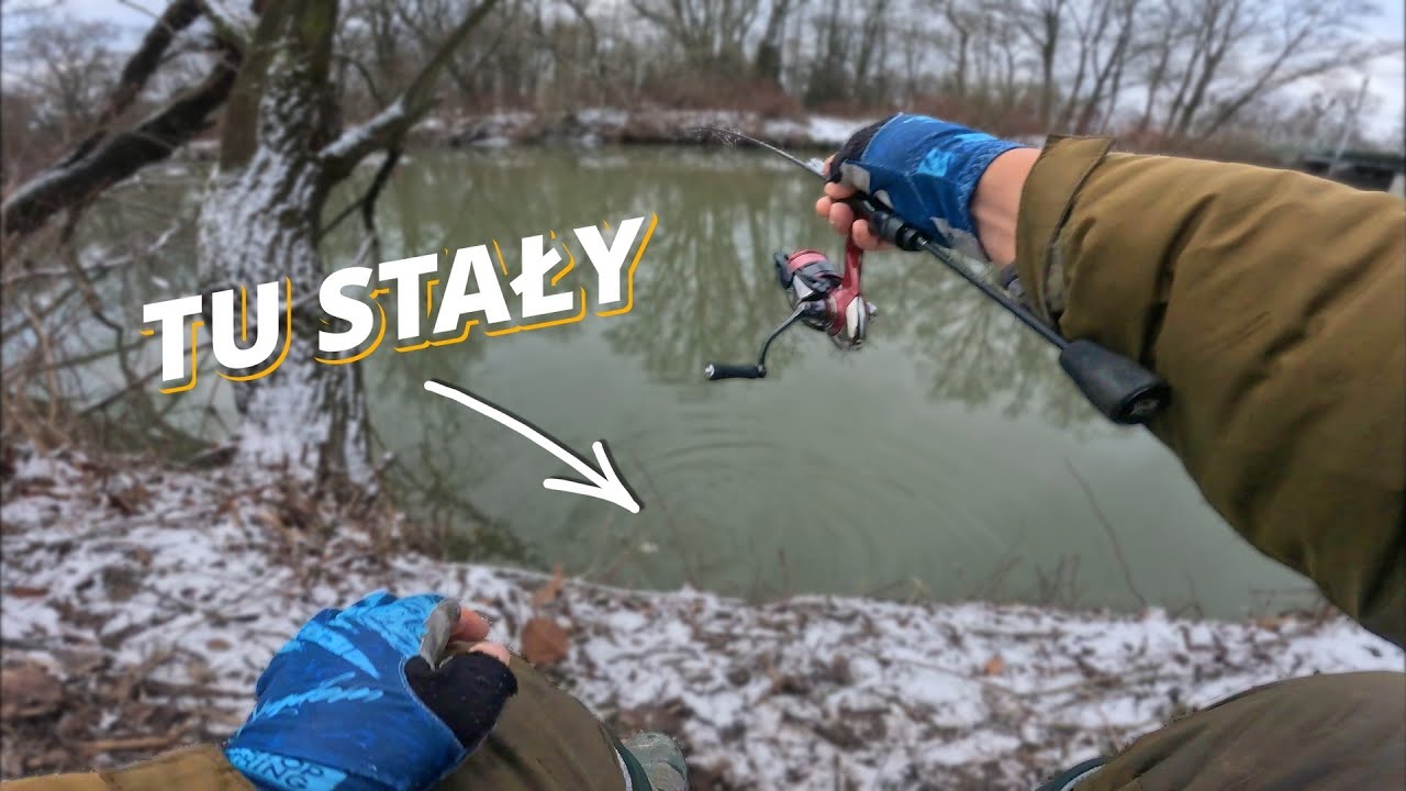 Ostatni spinning w roku – zimowe okonie na UL przy 0°C | TU STAŁY