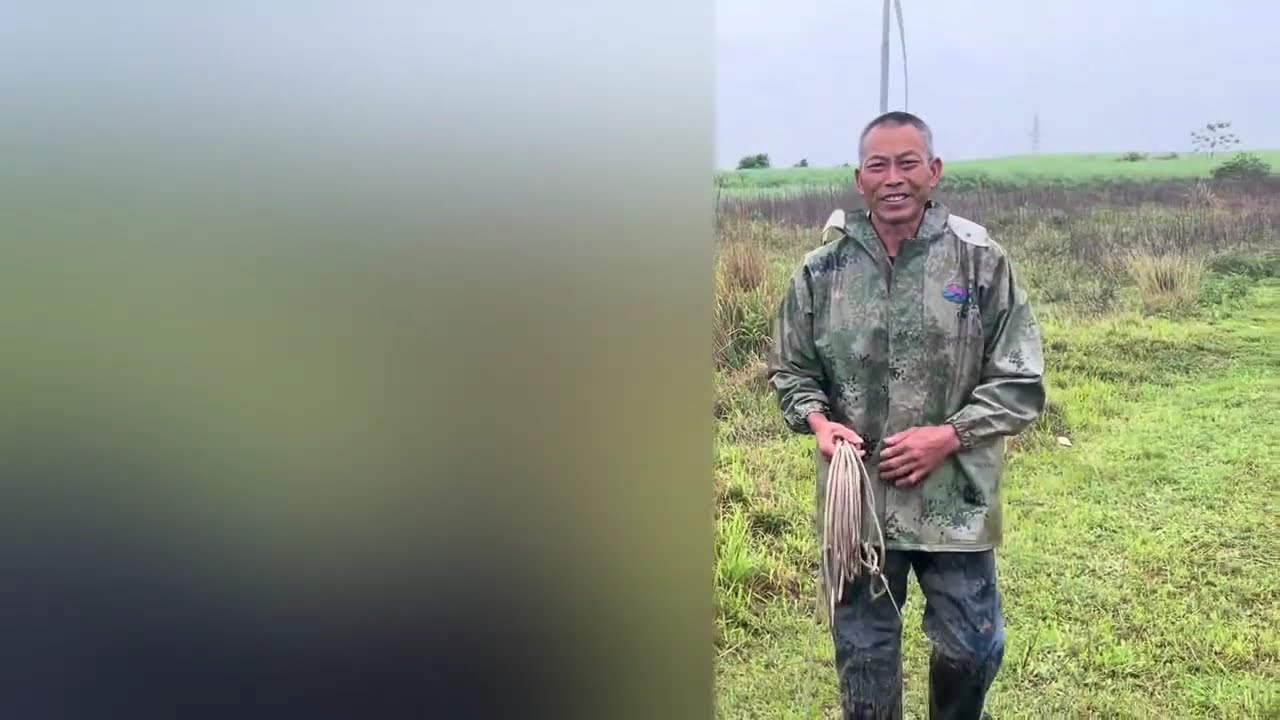 小伙下乡过磅买牛，大爷说有960斤，一过磅懵了，不想卖了。#农业人 #牛娃