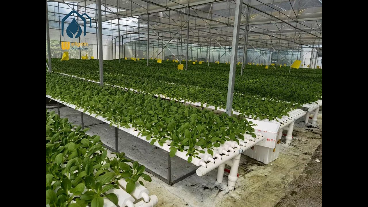 what is NFT Hydroponic Grow System? How the NFT System Works?