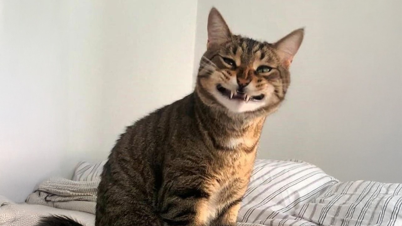 🔴[LIVE] Ai vazut ce fac eu aici? Interesant