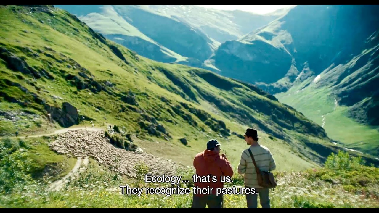 Shepherds / Bergers (2025) - Trailer (English Subs)