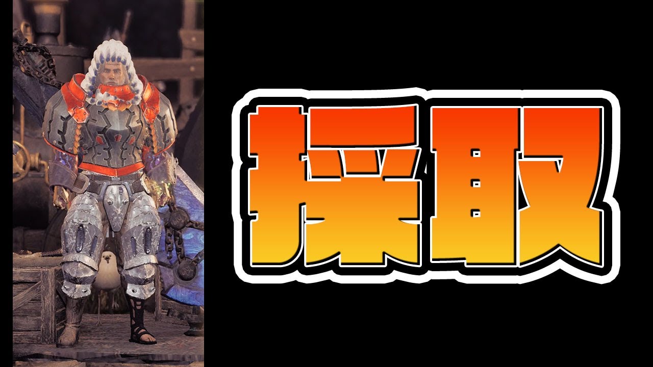 たとえば、こんな『シン・採取装備』がありうる。【装備紹介】 #はじめてdaワイルズ