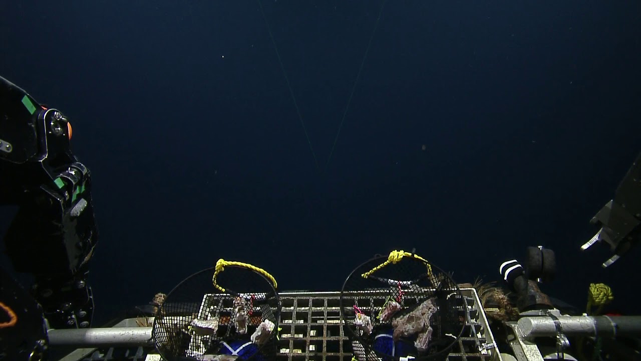 ROV Hercules Dive NA124 H1845 2020 11 03 16 21 17 189 UTC 12 W1