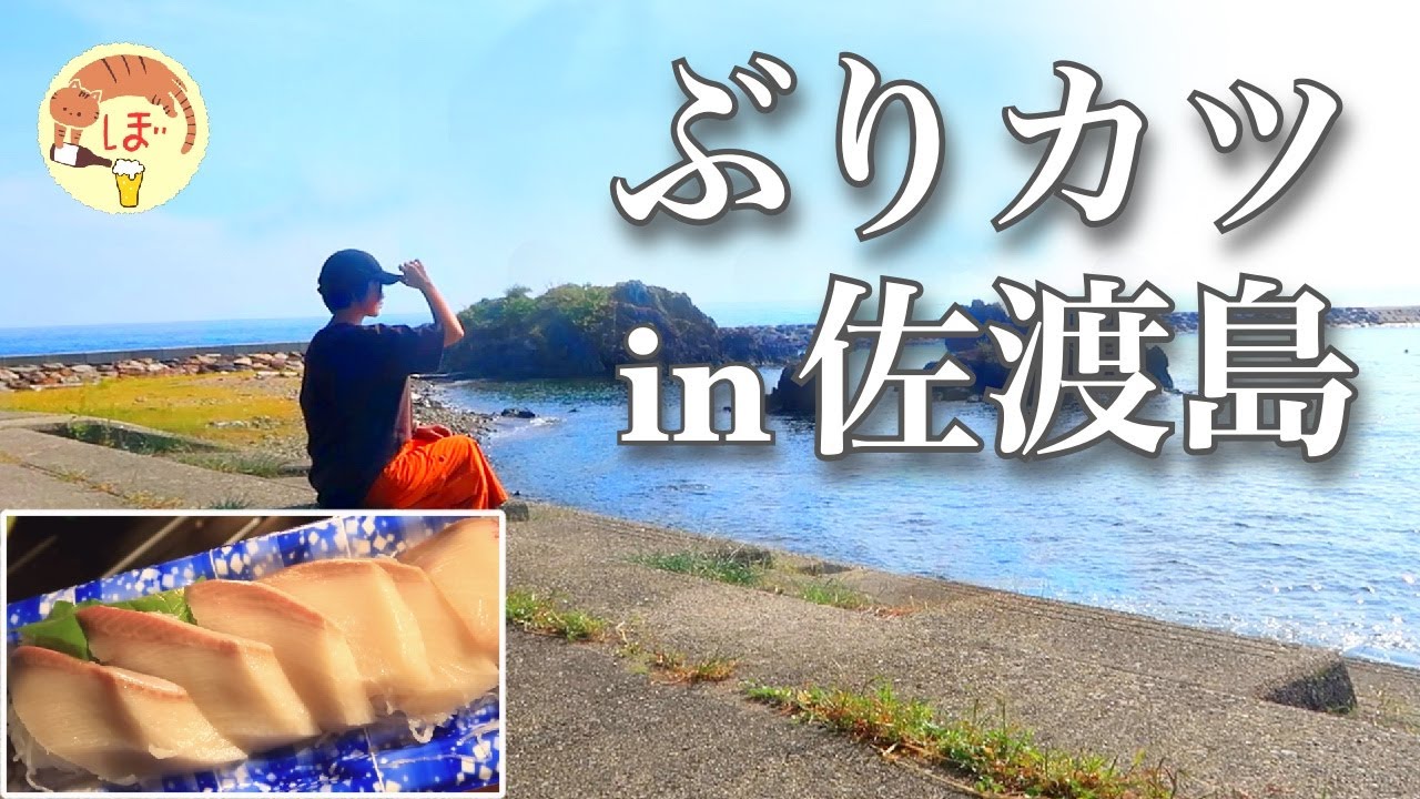【佐渡島】ぼっち女のソロキャンプ・新潟・佐渡島旅②【キャンプ】bocchi's trip to Sado Island[Japanese style izakaya at camp]